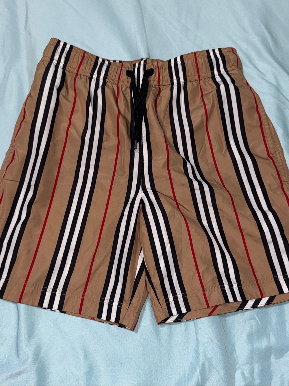 Burberry Boys size 12y Stripe Swim Trunks